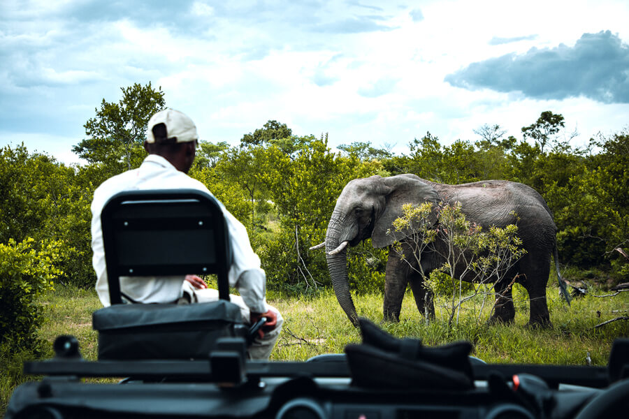 Uganda Safaris Game drive