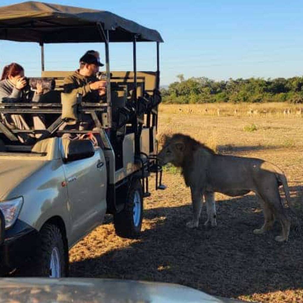 game drives