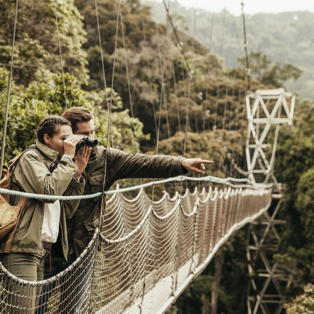 canopy-walk-in-rwanda